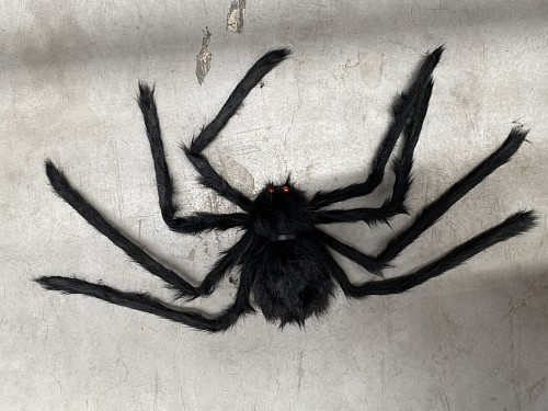 ARAÑA