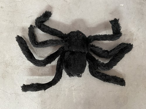 ARAÑA