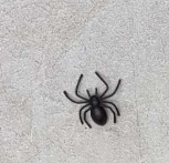 ARAÑA