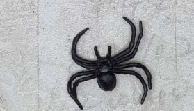ARAÑA