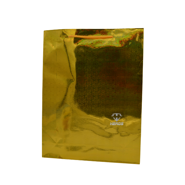 BOLSA REGALO HOLOGRAMADA X13
