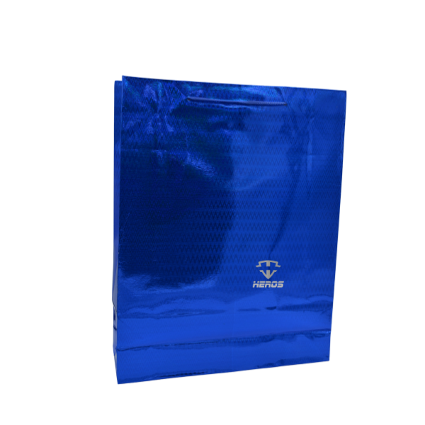 BOLSA REGALO HOLOGRAMADA X13