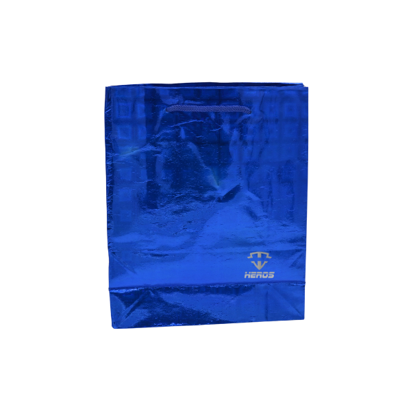 BOLSA REGALO HOLOGRAMADA X14