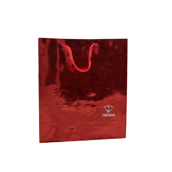 BOLSA REGALO HOLOGRAMADA X14