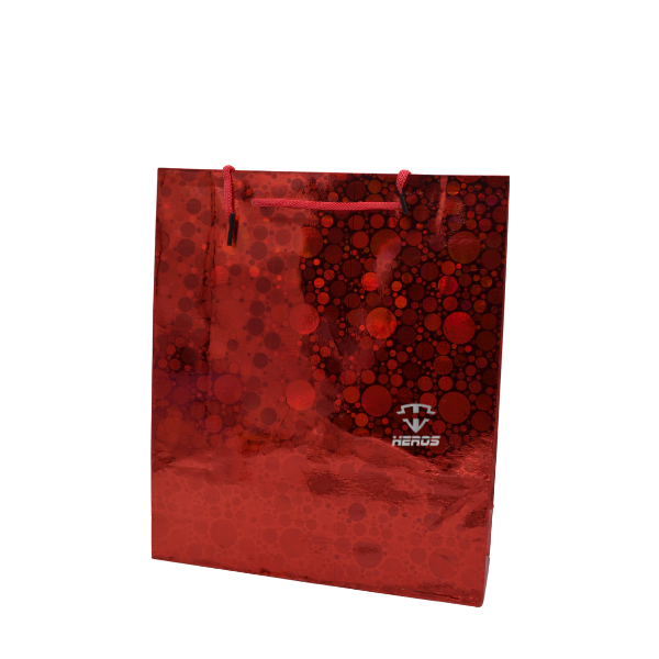 BOLSA REGALO HOLOGRAMADA X15