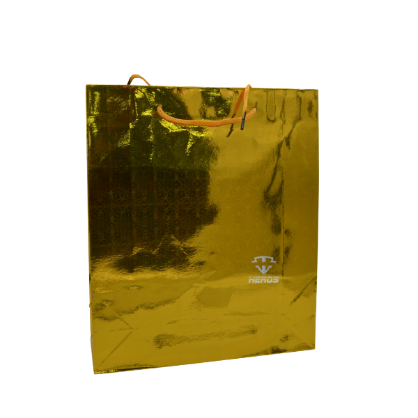 BOLSA REGALO HOLOGRAMADA X17
