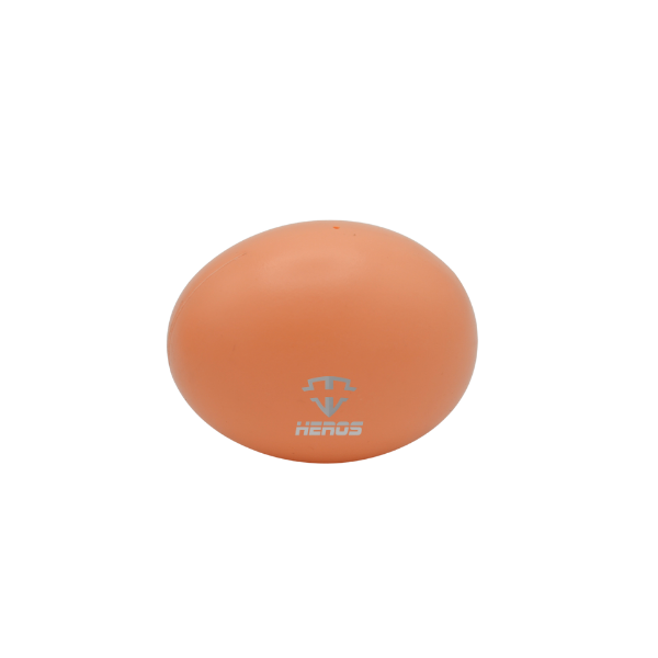 HUEVOS MAYA X12