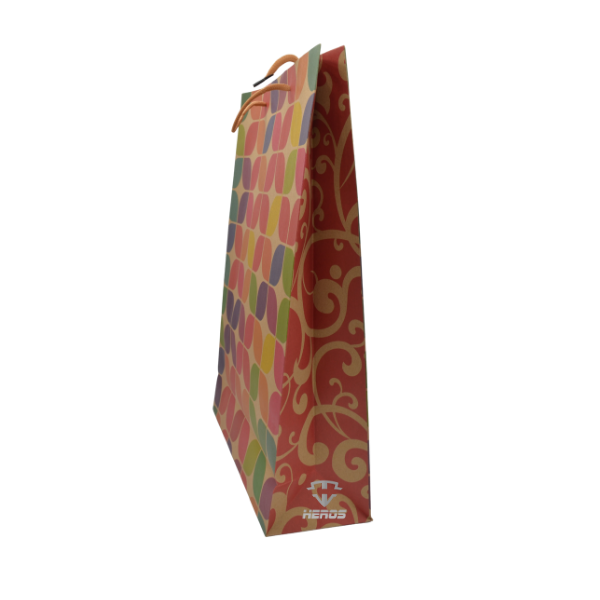 BOLSA DE REGALO CRAF ESTAMPADA X14