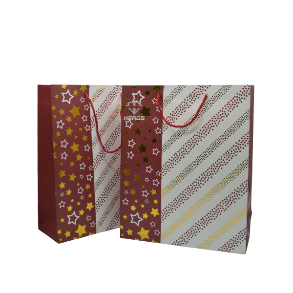 BOLSA DE REGALO X13