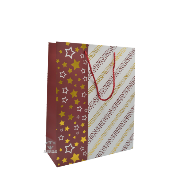 BOLSA DE REGALO X13
