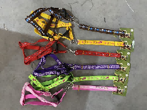 COLLAR PARA MASCOTA