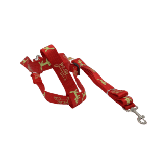 COLLAR PARA MASCOTA