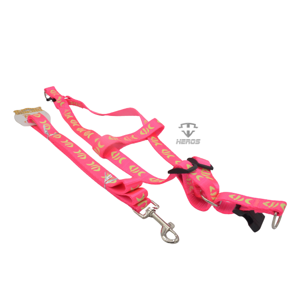 COLLAR PARA MASCOTA