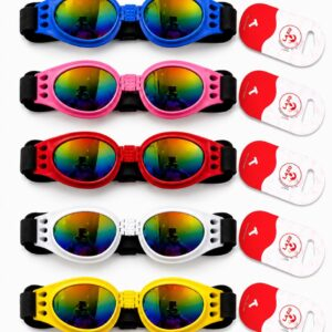 GAFAS MASCOTA