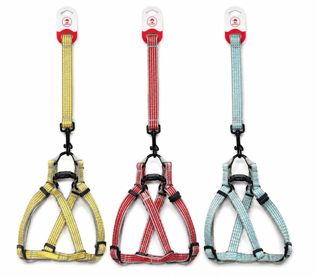 ARNES MASCOTA